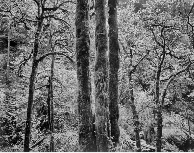 scans_0003-Edit.jpg