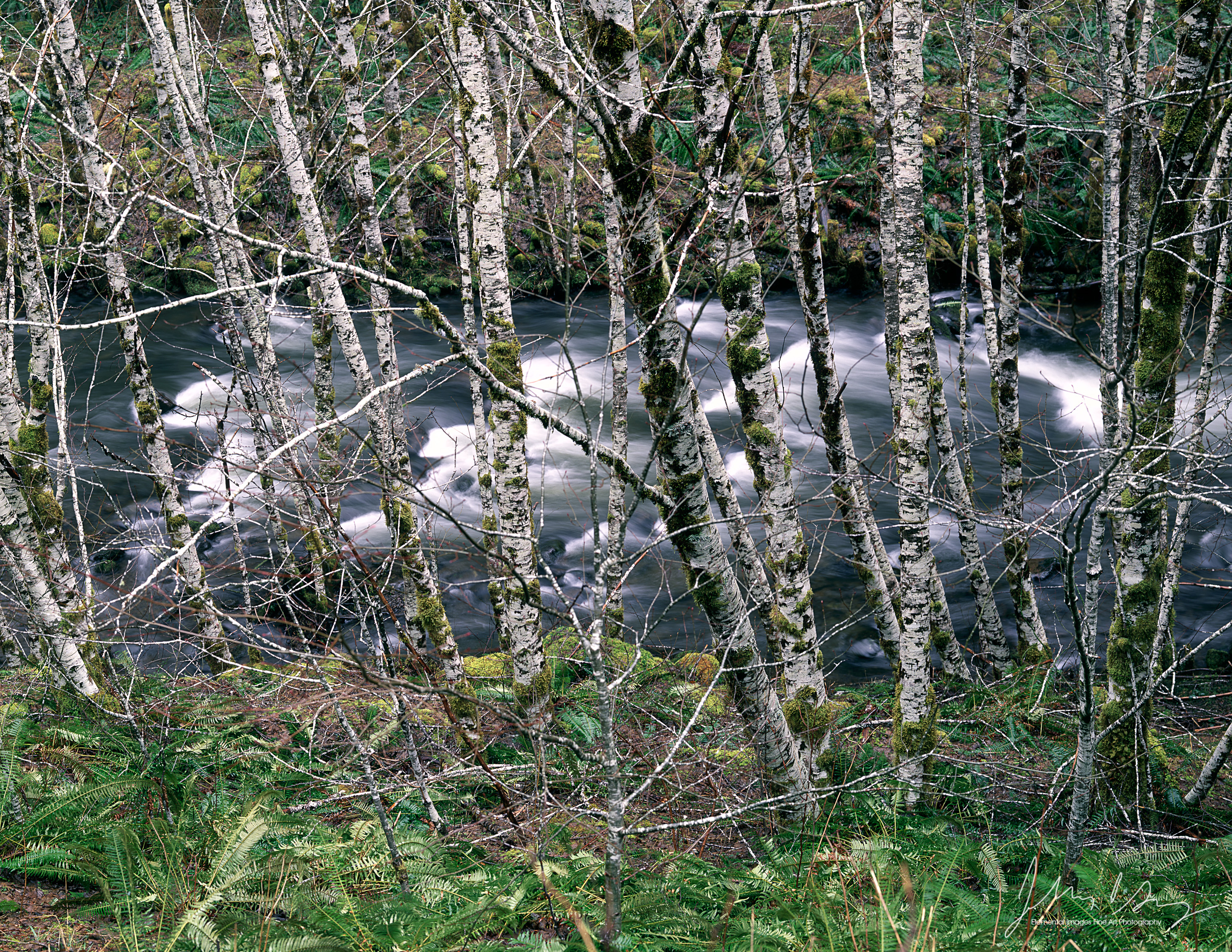 MS482_11_color.jpg