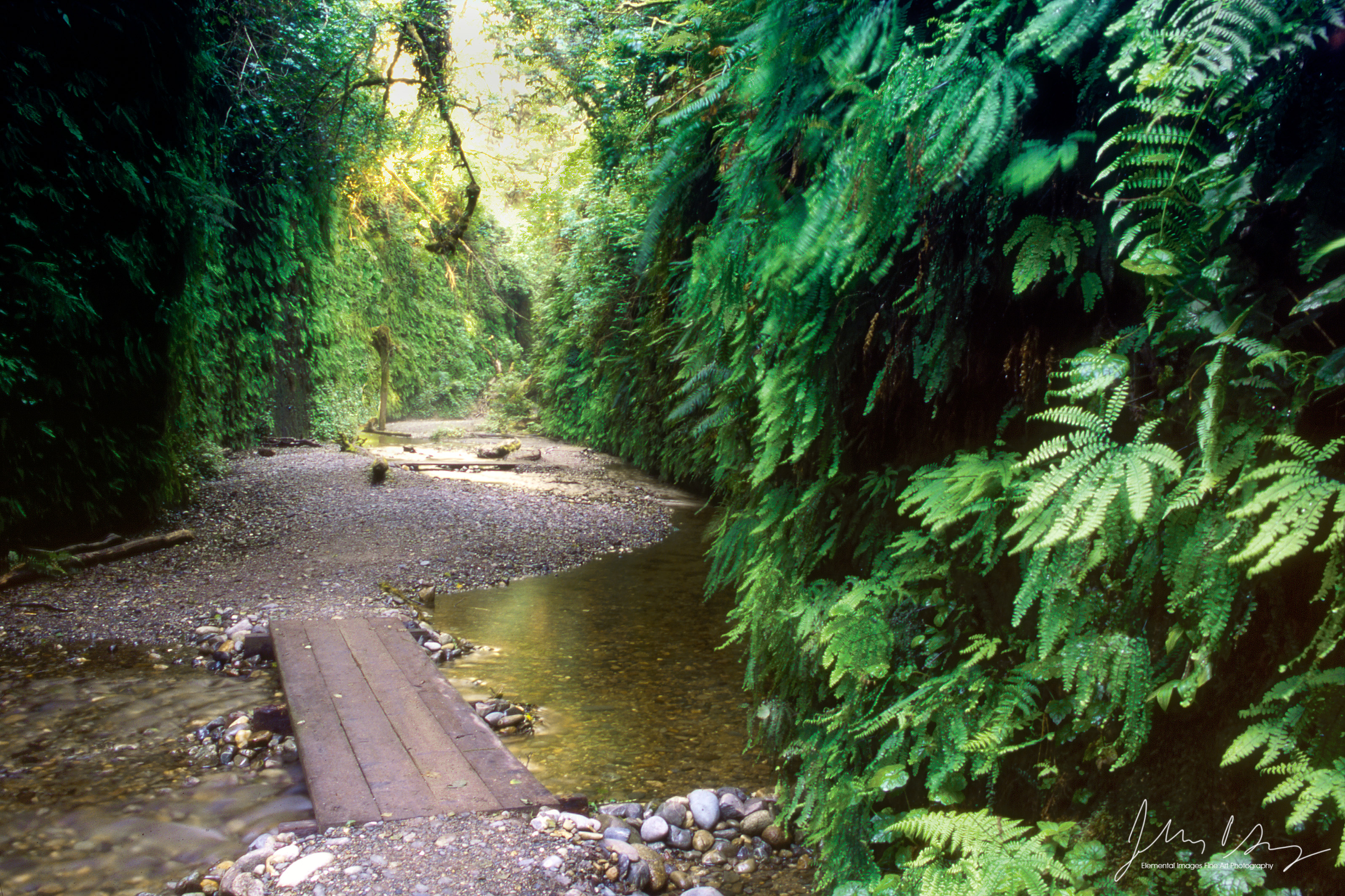 MS545_12_color.jpg