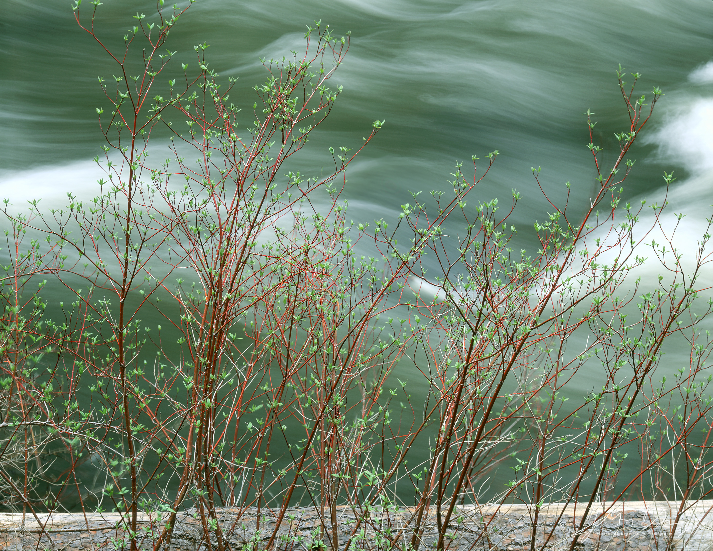 MS565_11_color.jpg