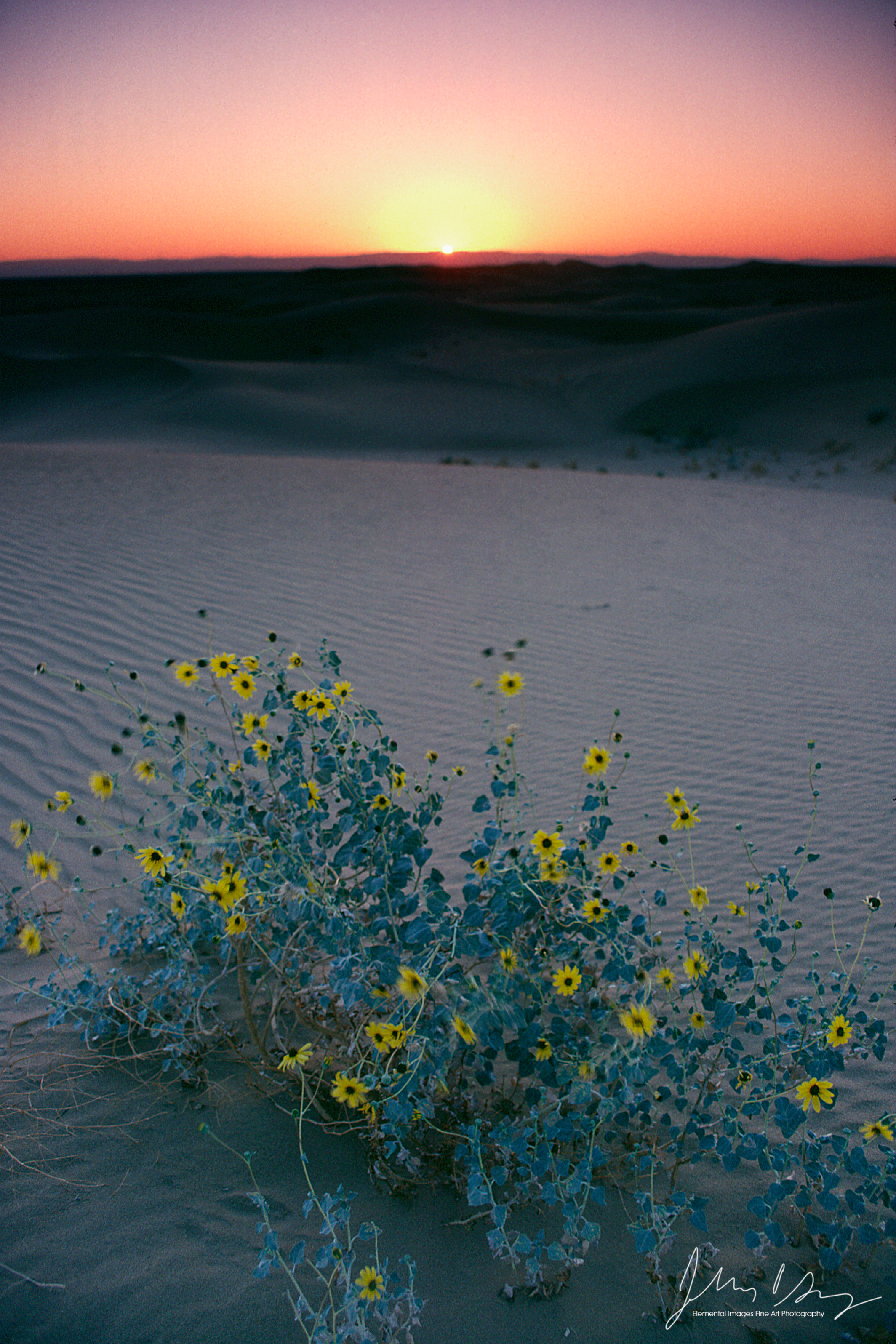 S5_12_color.jpg