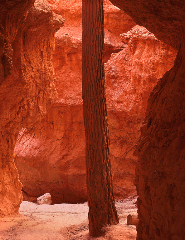 AB263 AB263_11_color.jpg