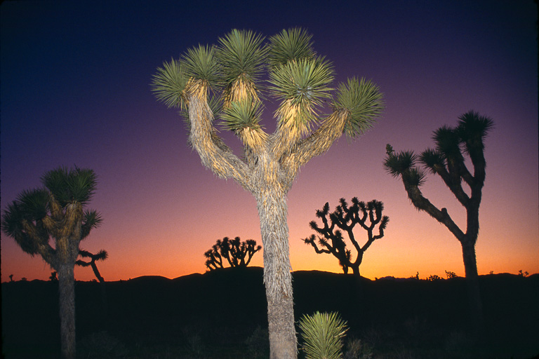 D92 D92_12_color.jpg