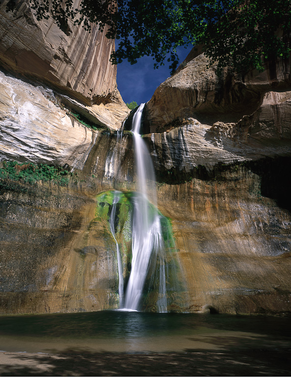 MS504 MS504_11_color.jpg