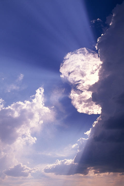 MS535 MS535_12_color.jpg