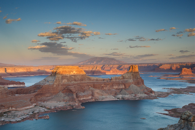 MS701 MS701_12_color.jpg