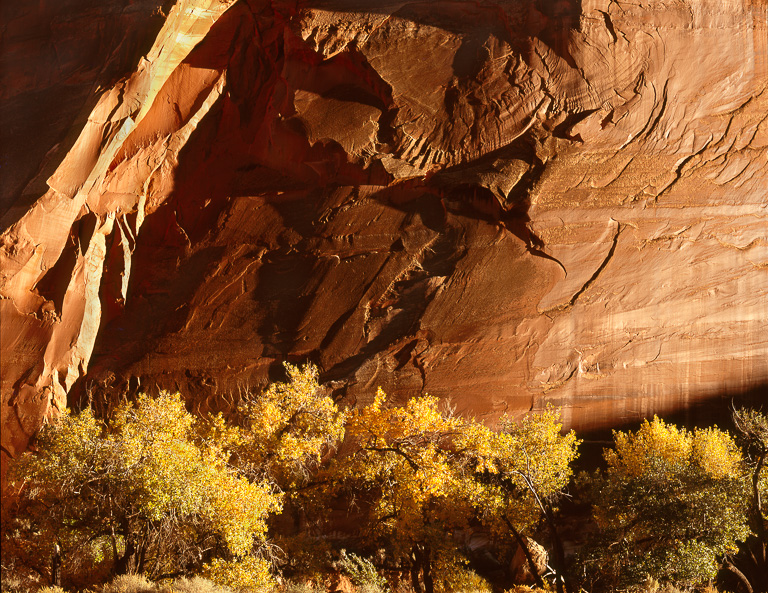 MS726 MS726_12_color.jpg