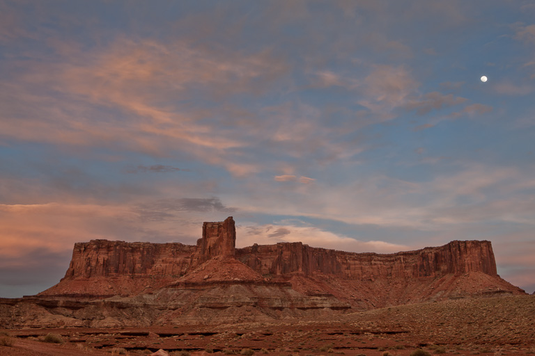 MS969 MS969-Edit-Edit.jpg