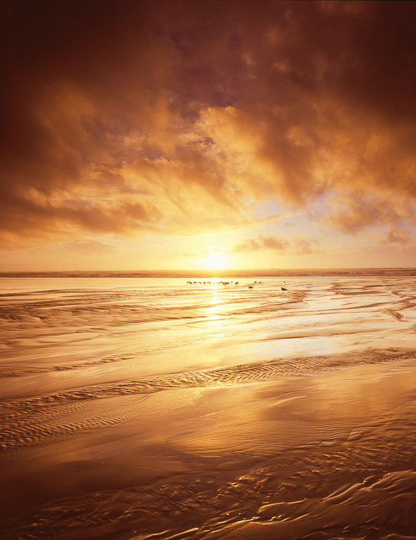 S113 S113_11_color.jpg