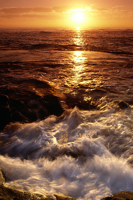 S16 S16_12_color.jpg