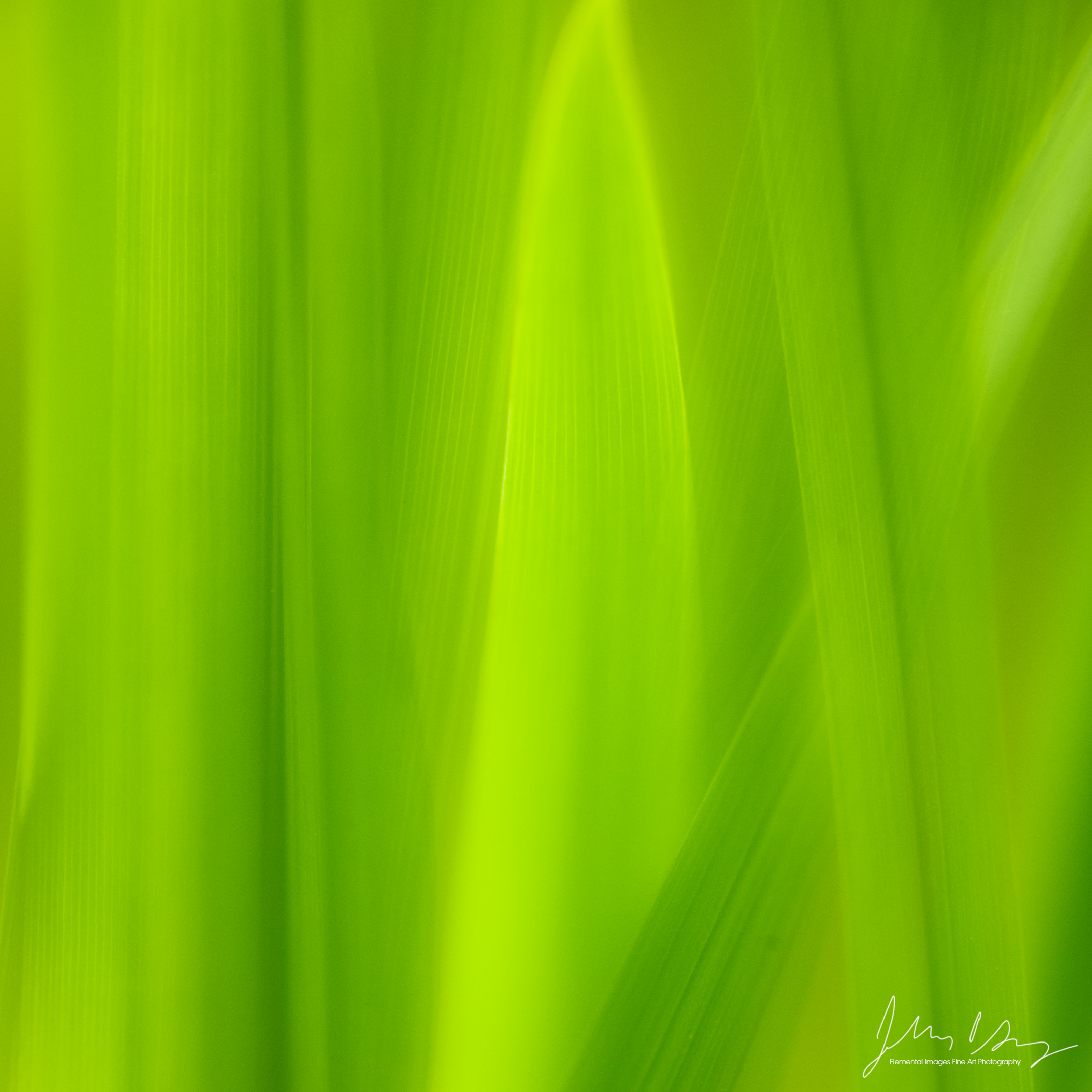 _39A4812.jpg