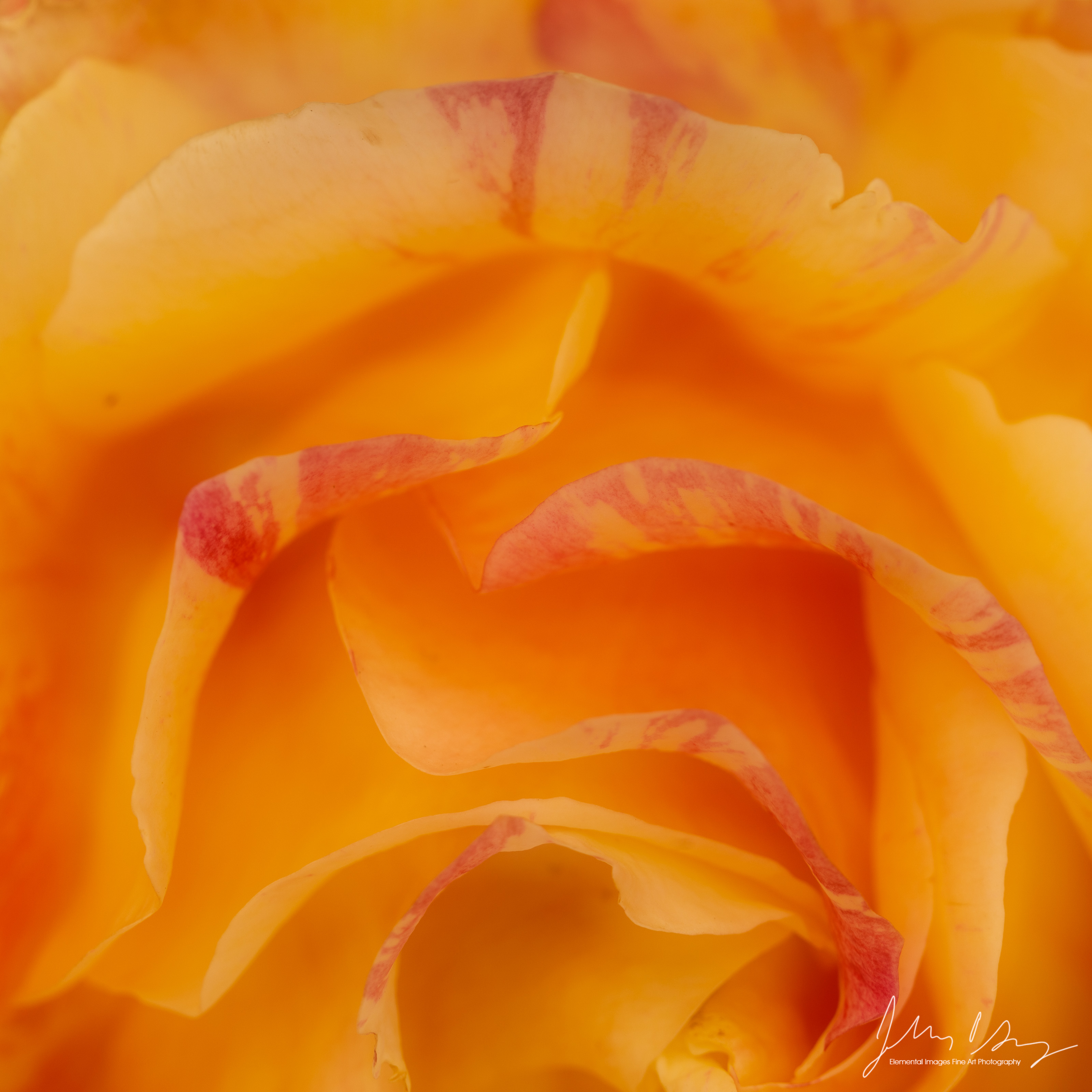 _39A4871.jpg