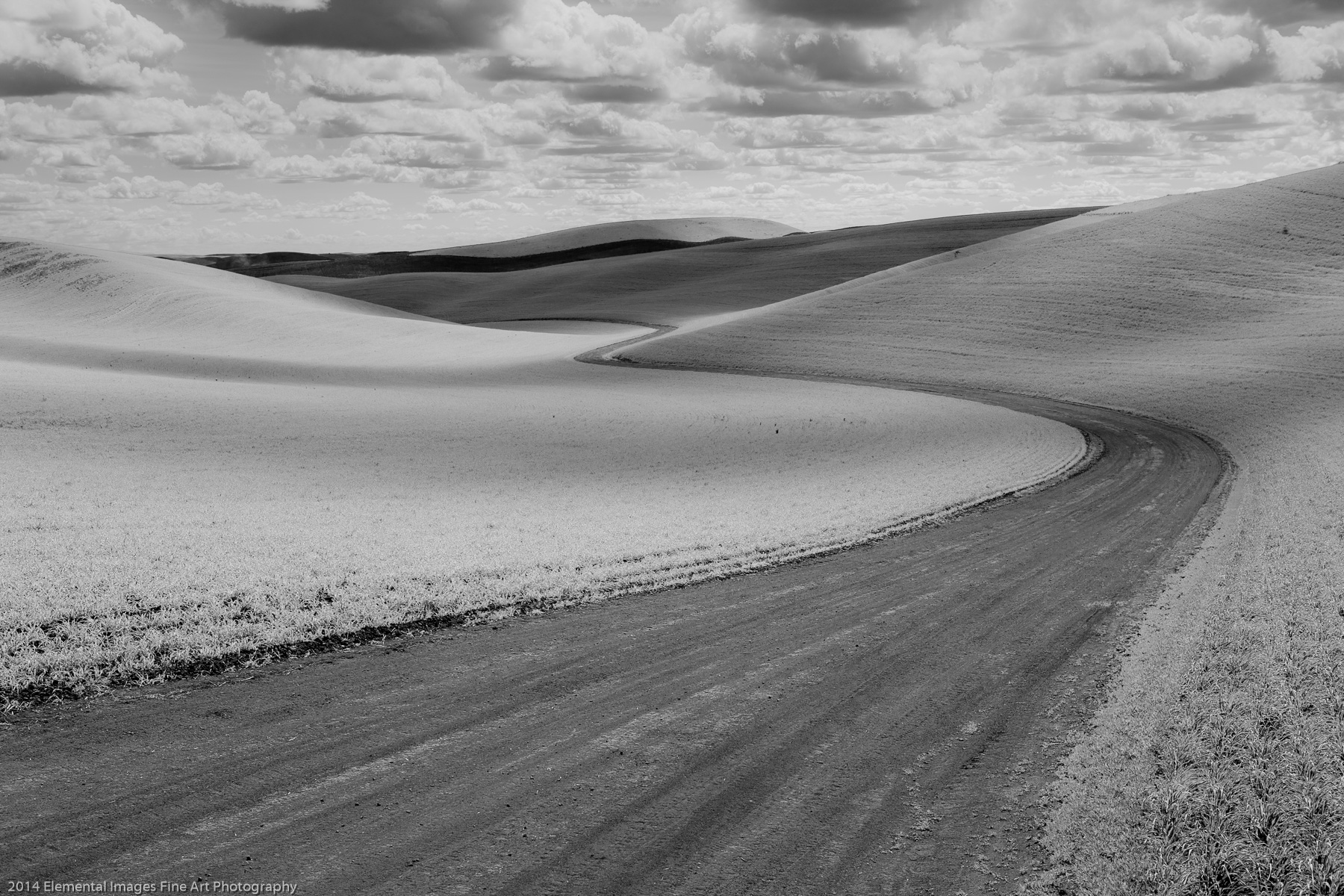 A Winding Road | The Palouse | WA | USA - © 2014 Elemental Images Fine Art Photography - All Rights Reserved Worldwide