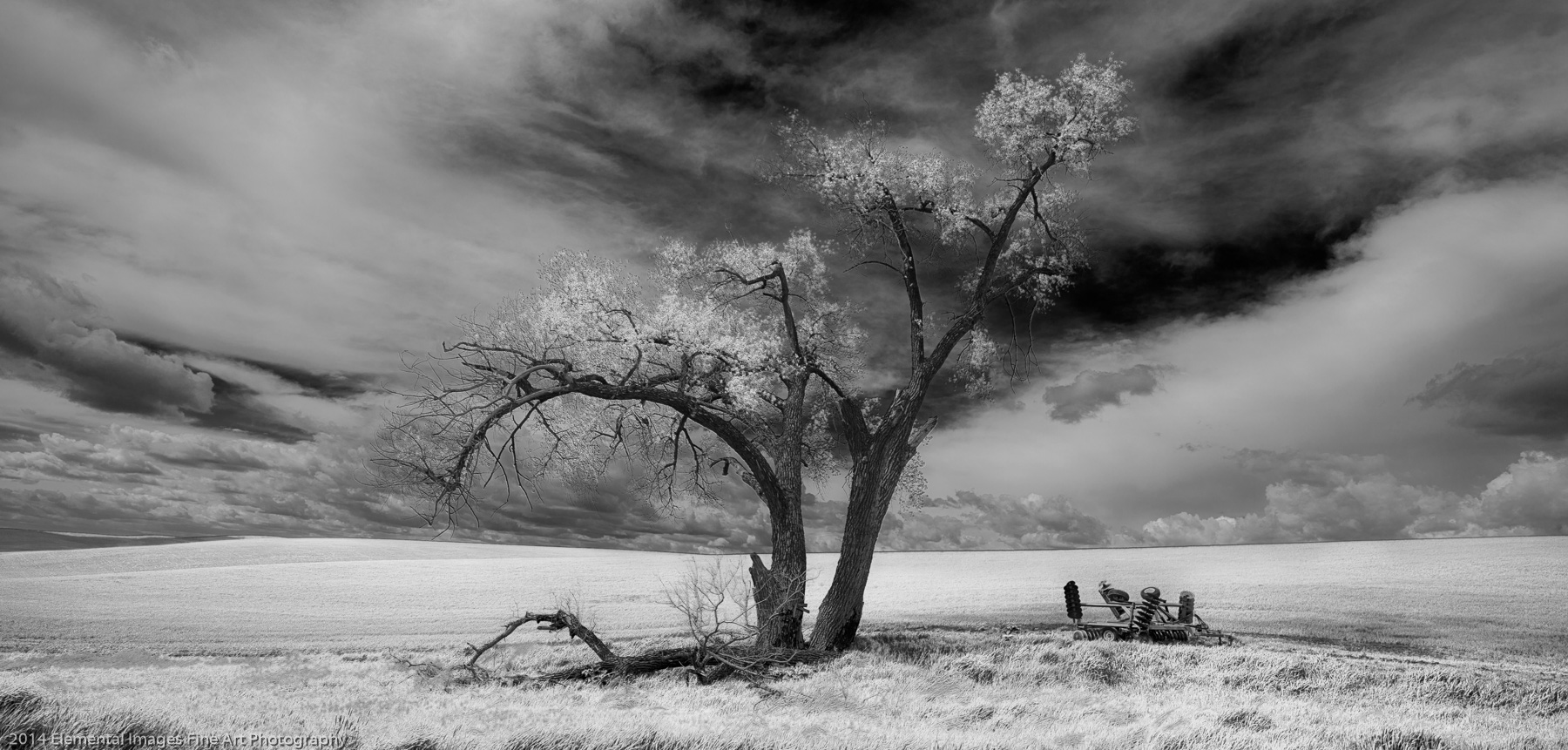 Lone Tree with Farm Equipment |  |  |  - © 2014 Elemental Images Fine Art Photography - All Rights Reserved Worldwide