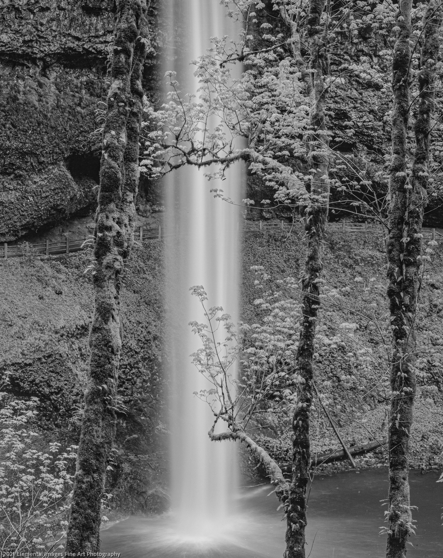 South Falls | Silver Falls State Park | OR | USA - © 2021 Elemental Images Fine Art Photography - All Rights Reserved Worldwide
