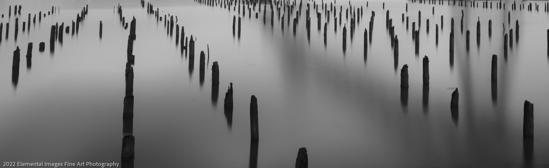 Pier Posts on the Columbia | Astoria | OR | USA - © 2022 Elemental Images Fine Art Photography - All Rights Reserved Worldwide
