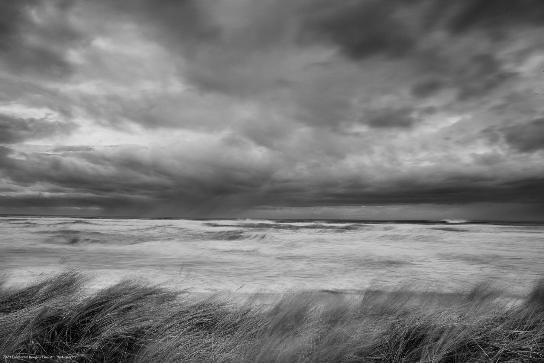 Windswept | Rockaway Beach | OR | USA - © 2023 Elemental Images Fine Art Photography - All Rights Reserved Worldwide