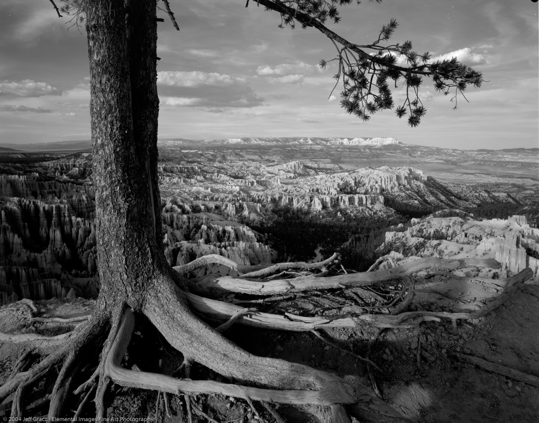 view from bryce canyon rim |  | UT | usa - © © 2004 Jeff Gracz / Elemental Images Fine Art Photography - All Rights Reserved Worldwide