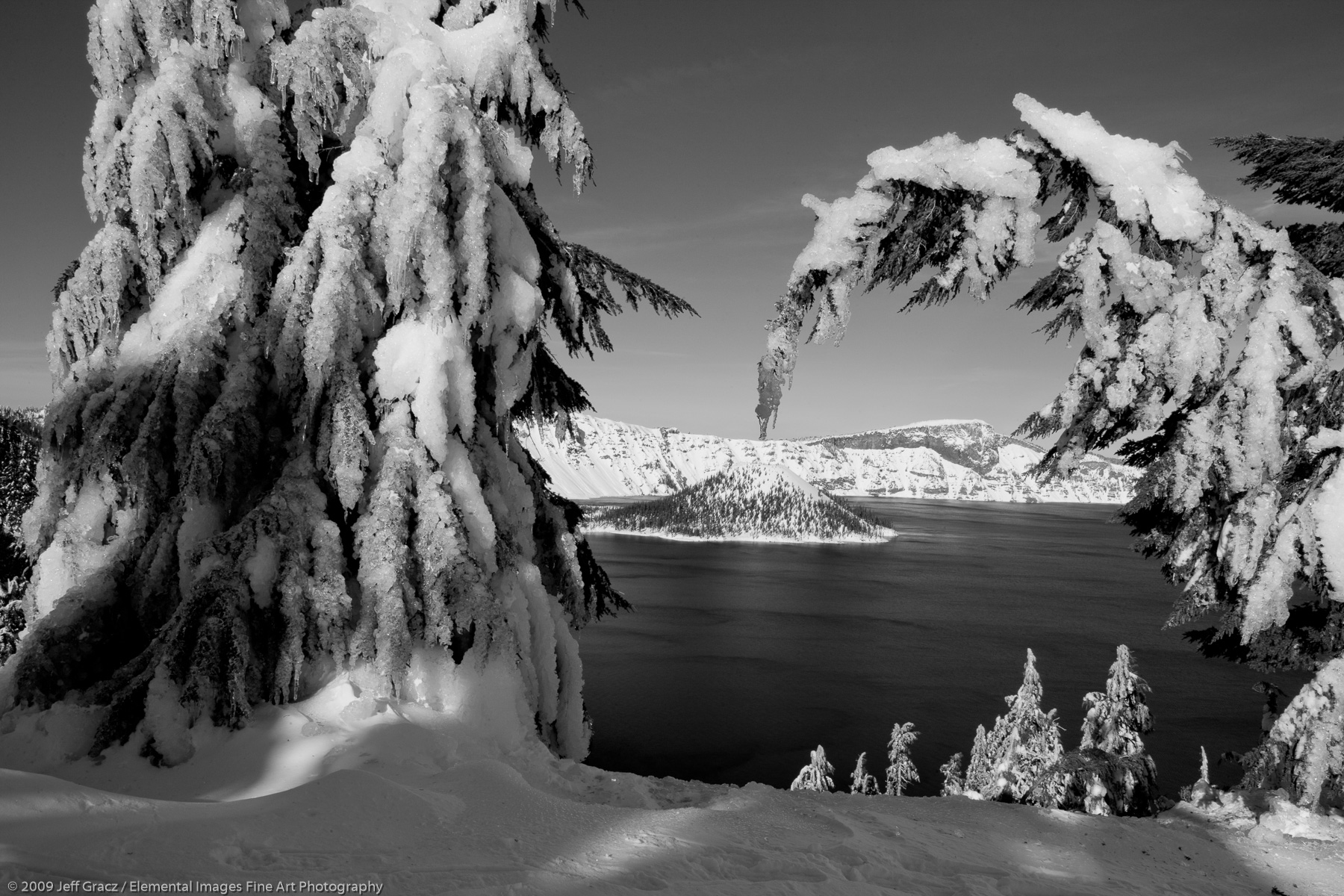 View of Wizard Island with Ice Covered Conifers |  | OR | USA - © © 2009 Jeff Gracz / Elemental Images Fine Art Photography - All Rights Reserved Worldwide