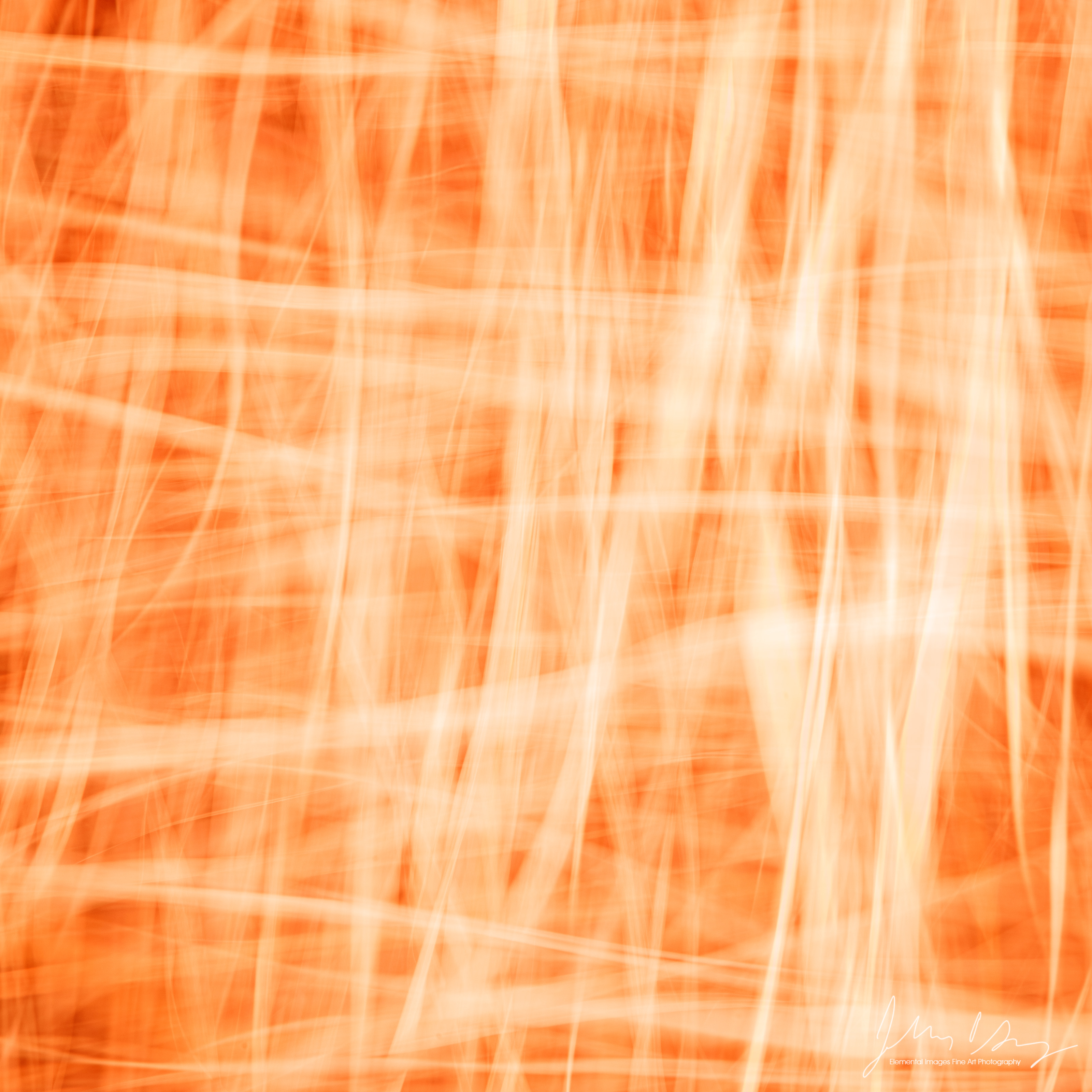 AB2672.jpg