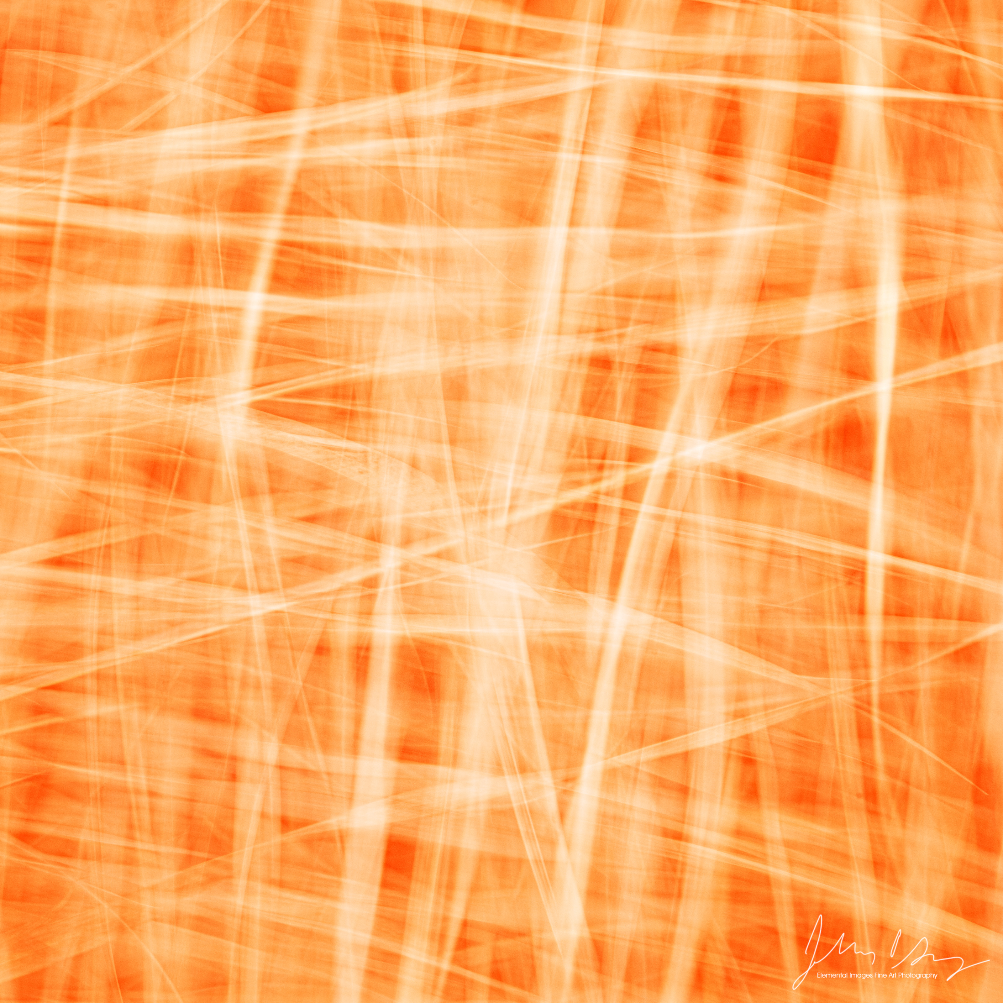 AB2673.jpg
