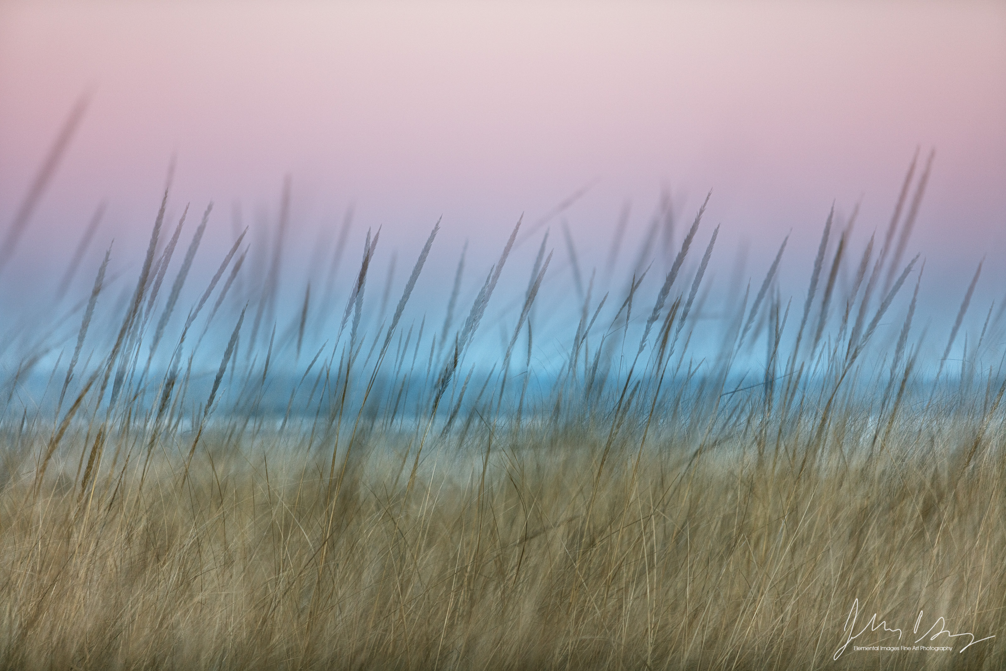 _39A8569-Edit.jpg