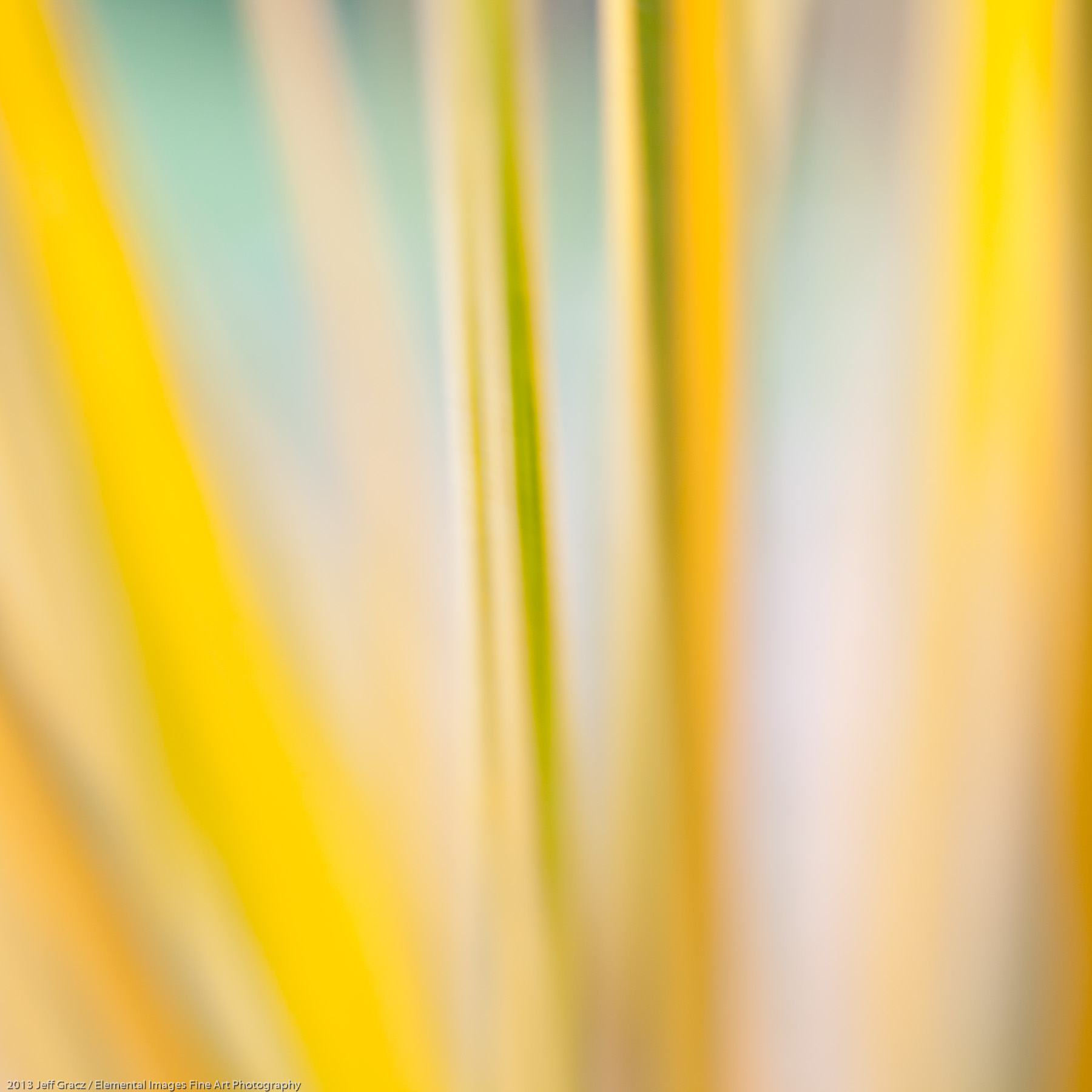 Grasses XXXVI | Portland | OR | USA - © 2013 Jeff Gracz / Elemental Images Fine Art Photography - All Rights Reserved Worldwide