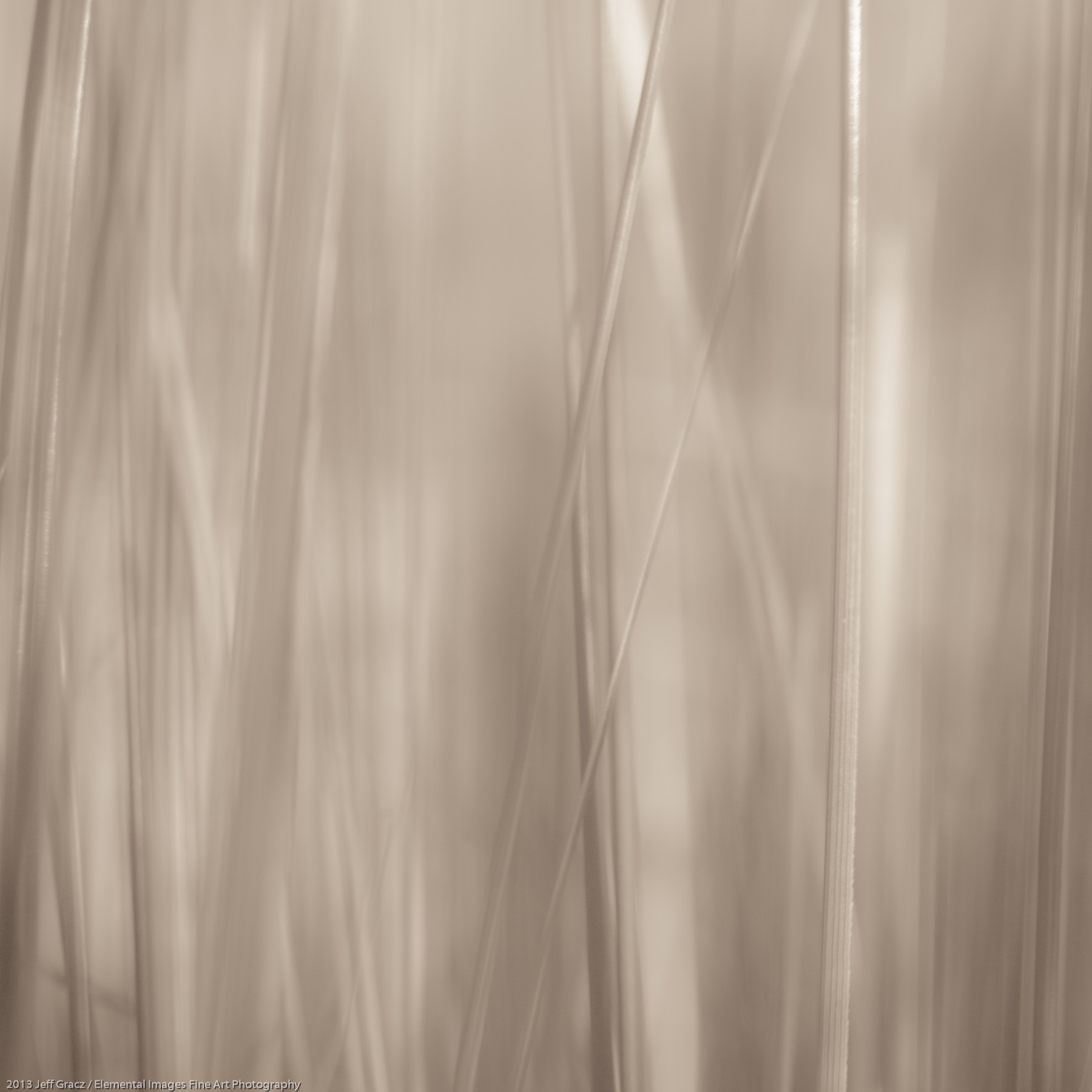 Grasses LIV | Portland | OR | USA - © 2013 Jeff Gracz / Elemental Images Fine Art Photography - All Rights Reserved Worldwide