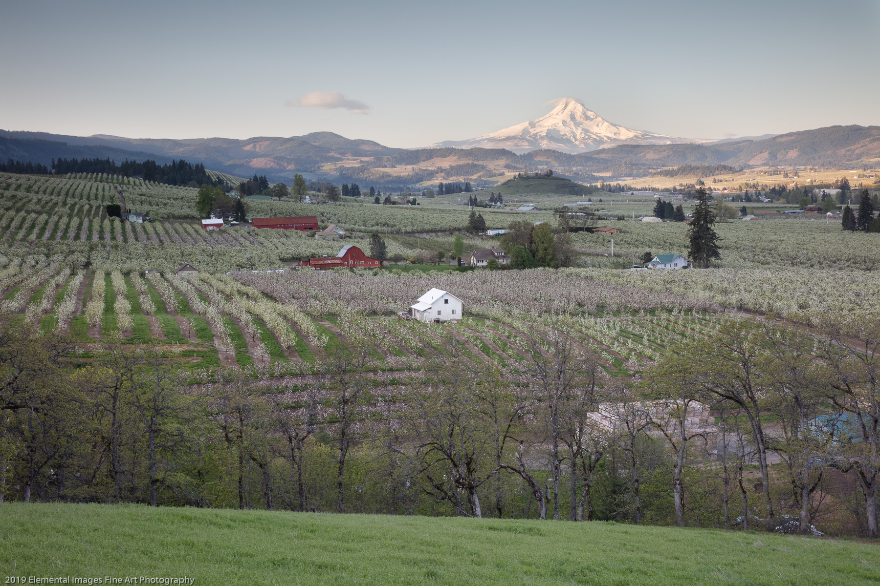 Mt. Hood view | Hood River | OR | USA - © 2019 Elemental Images Fine Art Photography - All Rights Reserved Worldwide