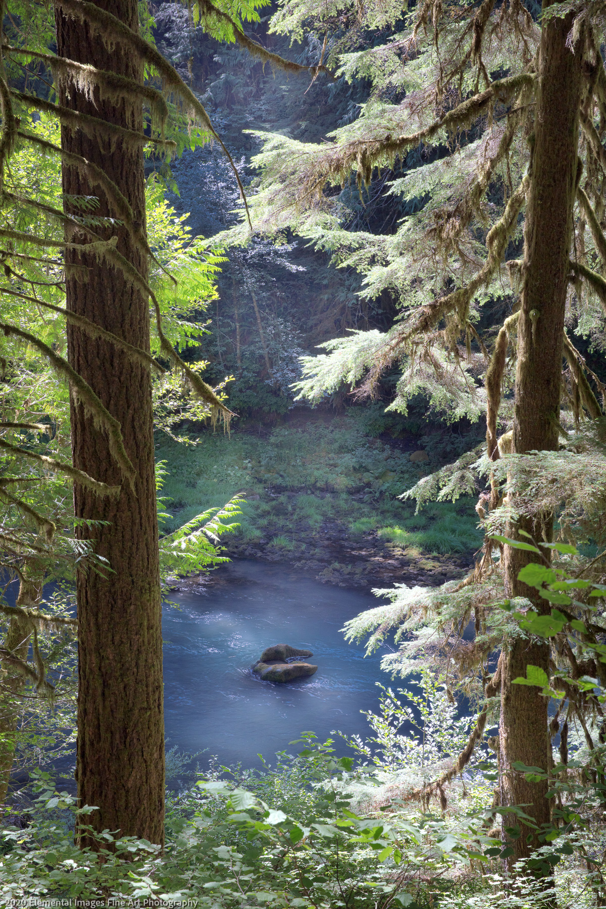 View to Lewis River | Gifford Pinchot National Forest | WA | USA - © 2020 Elemental Images Fine Art Photography - All Rights Reserved Worldwide