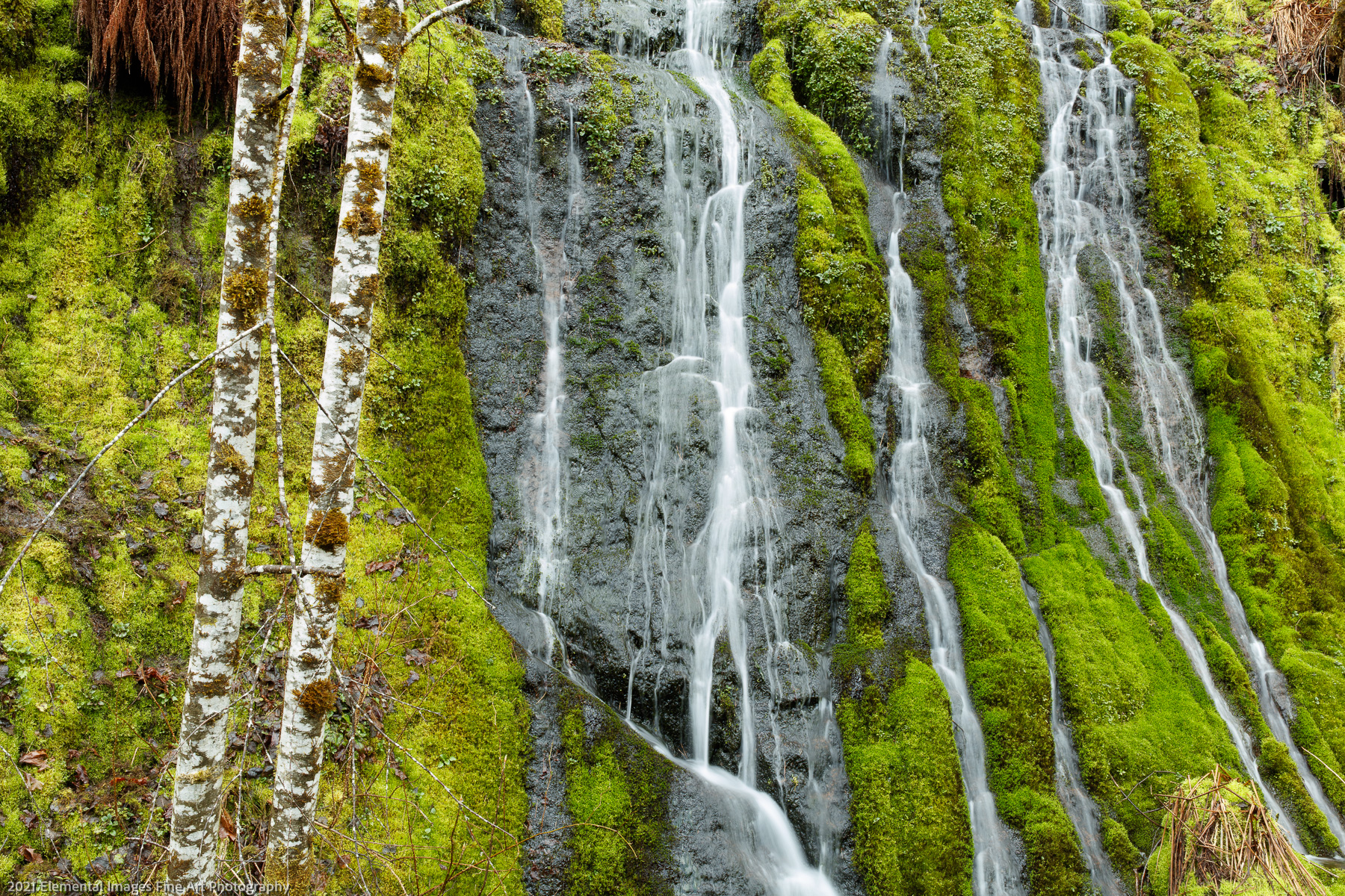 Mossy Falls | Gifford Pinchot National Forest | WA | USA - © 2021 Elemental Images Fine Art Photography - All Rights Reserved Worldwide