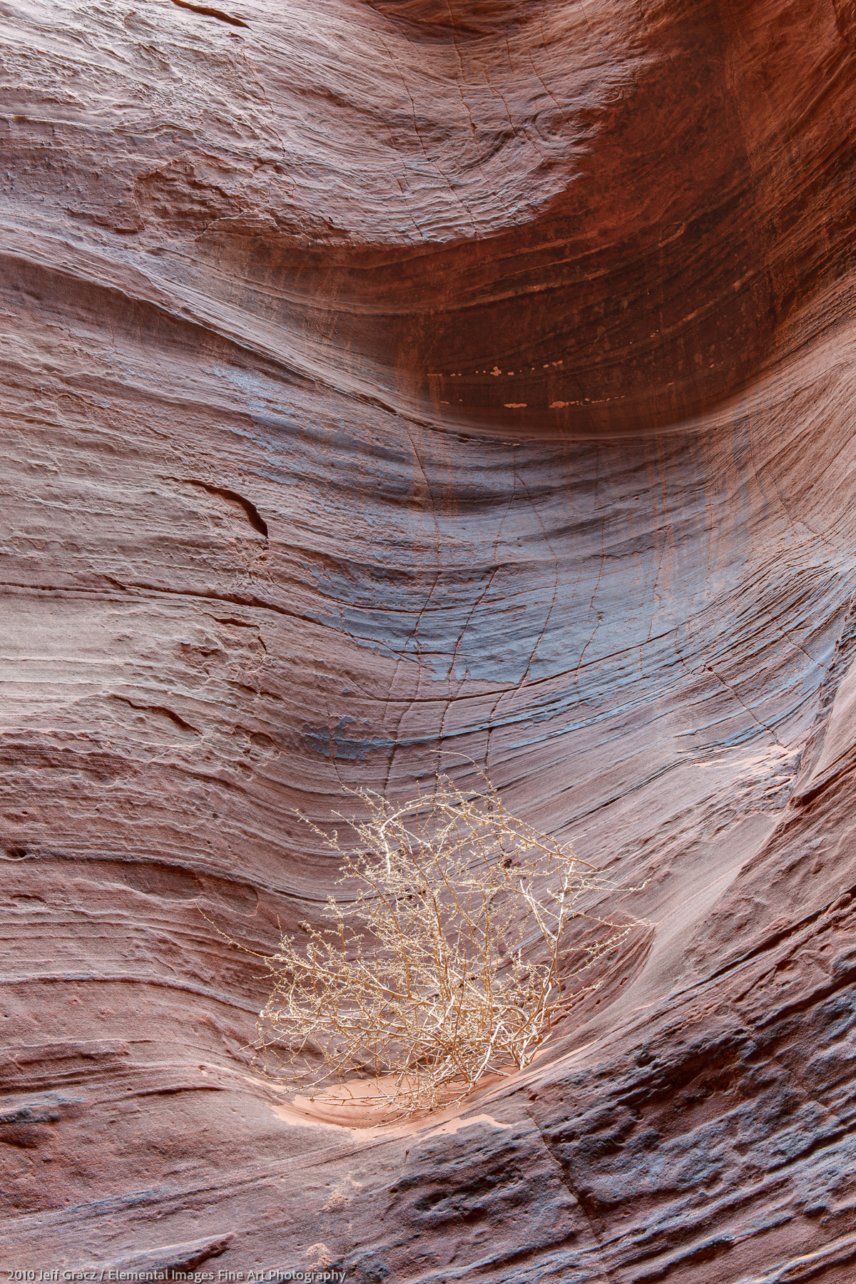 Tumbleweed in Slot Canyon | Paria Canyon / Vermillion Cliffs Wilderness | UT | USA - © 2010 Jeff Gracz / Elemental Images Fine Art Photography - All Rights Reserved Worldwide