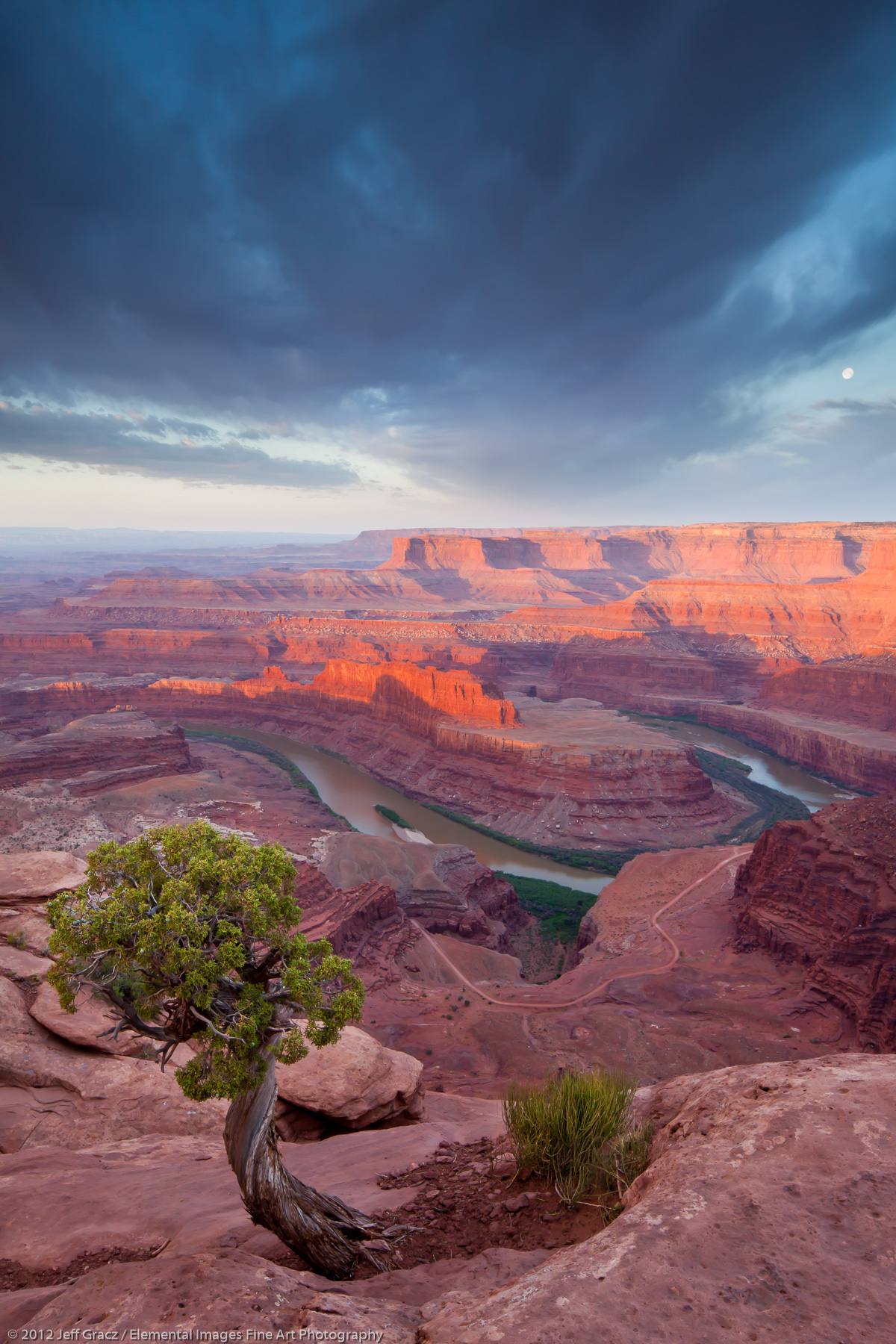 Canyon Sunrise | Dead Horse Point State Park | UT | USA - © © 2012 Jeff Gracz / Elemental Images Fine Art Photography - All Rights Reserved Worldwide