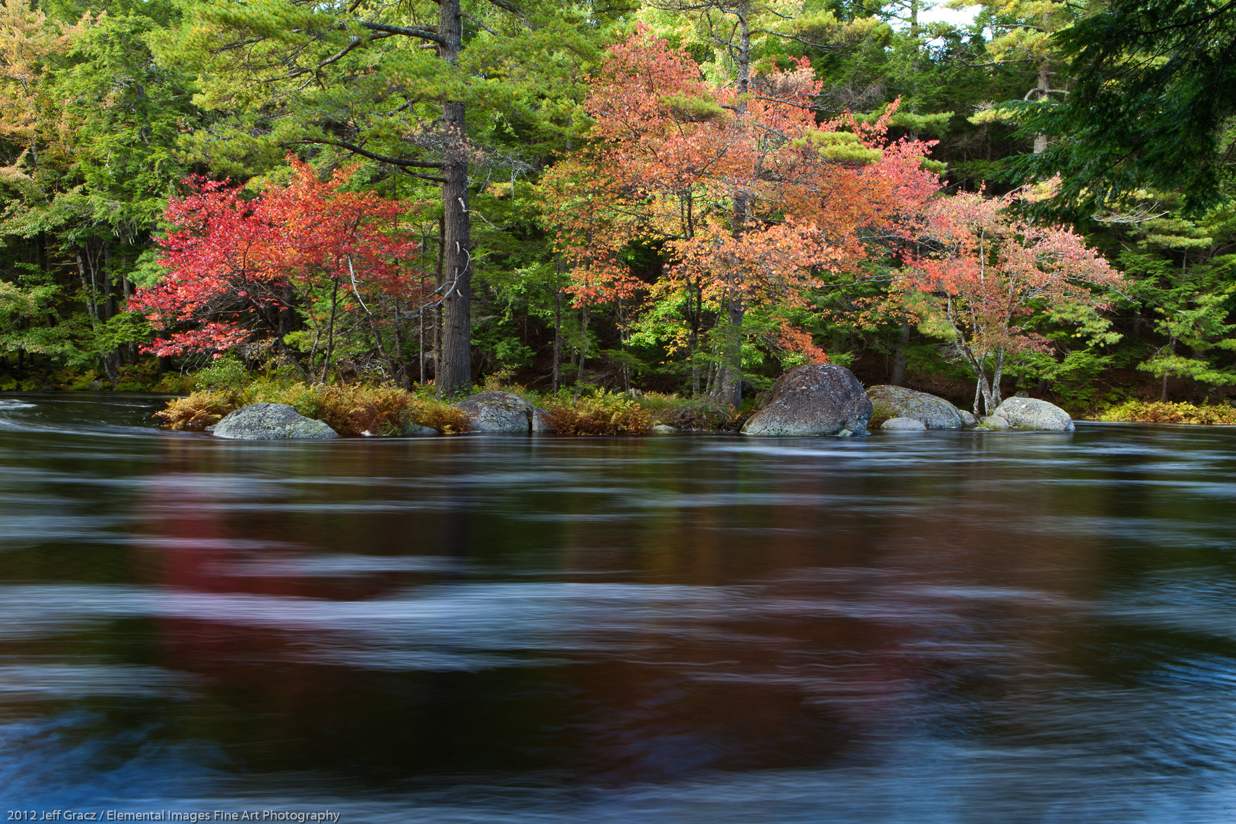 Mersey River Maples I | Kejimkujik National Park | Nova Scotia | Canada - © 2012 Jeff Gracz / Elemental Images Fine Art Photography - All Rights Reserved Worldwide