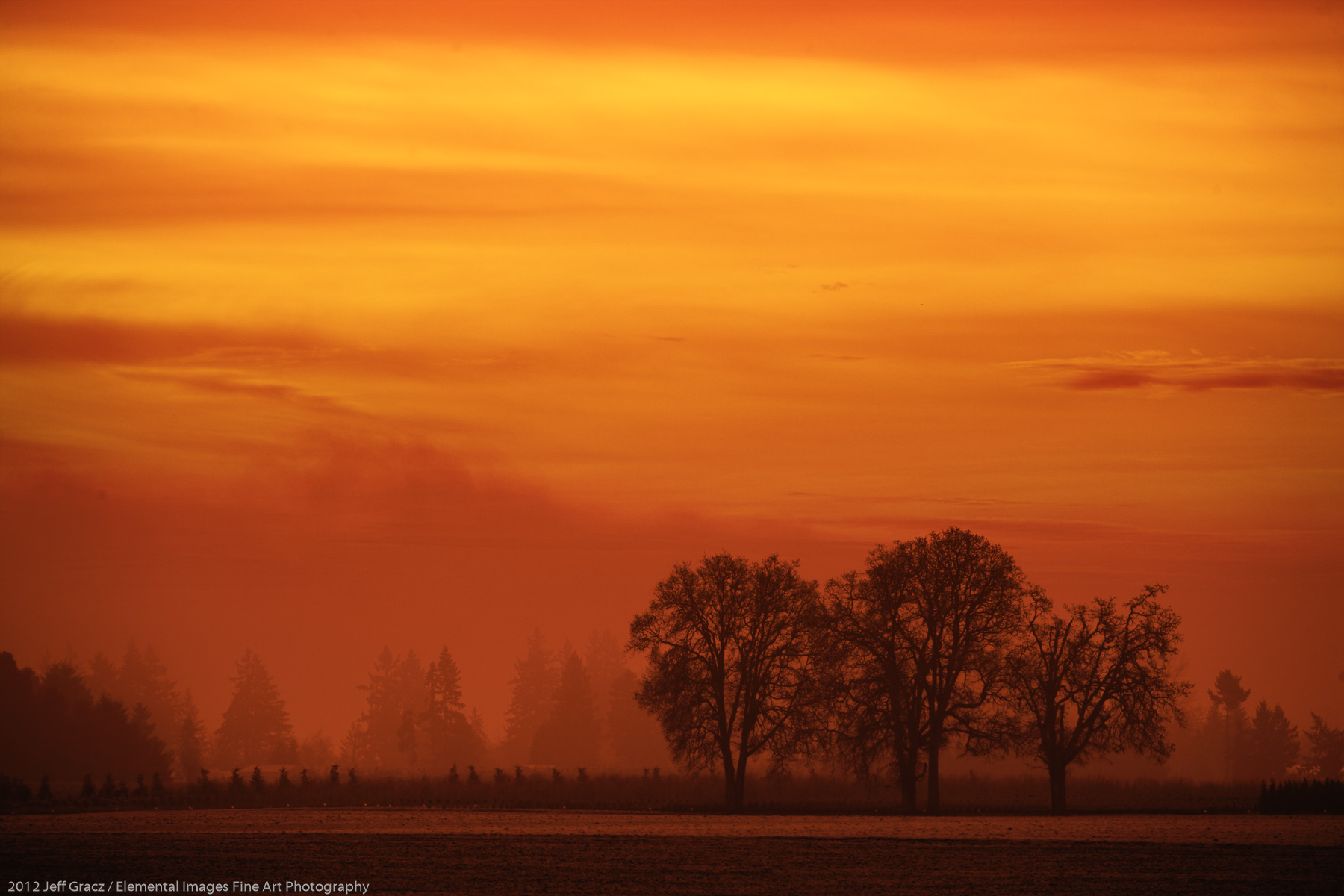 Fog, Sunrise, Willamette Valley | Butteville | OR | USA - © 2012 Jeff Gracz / Elemental Images Fine Art Photography - All Rights Reserved Worldwide