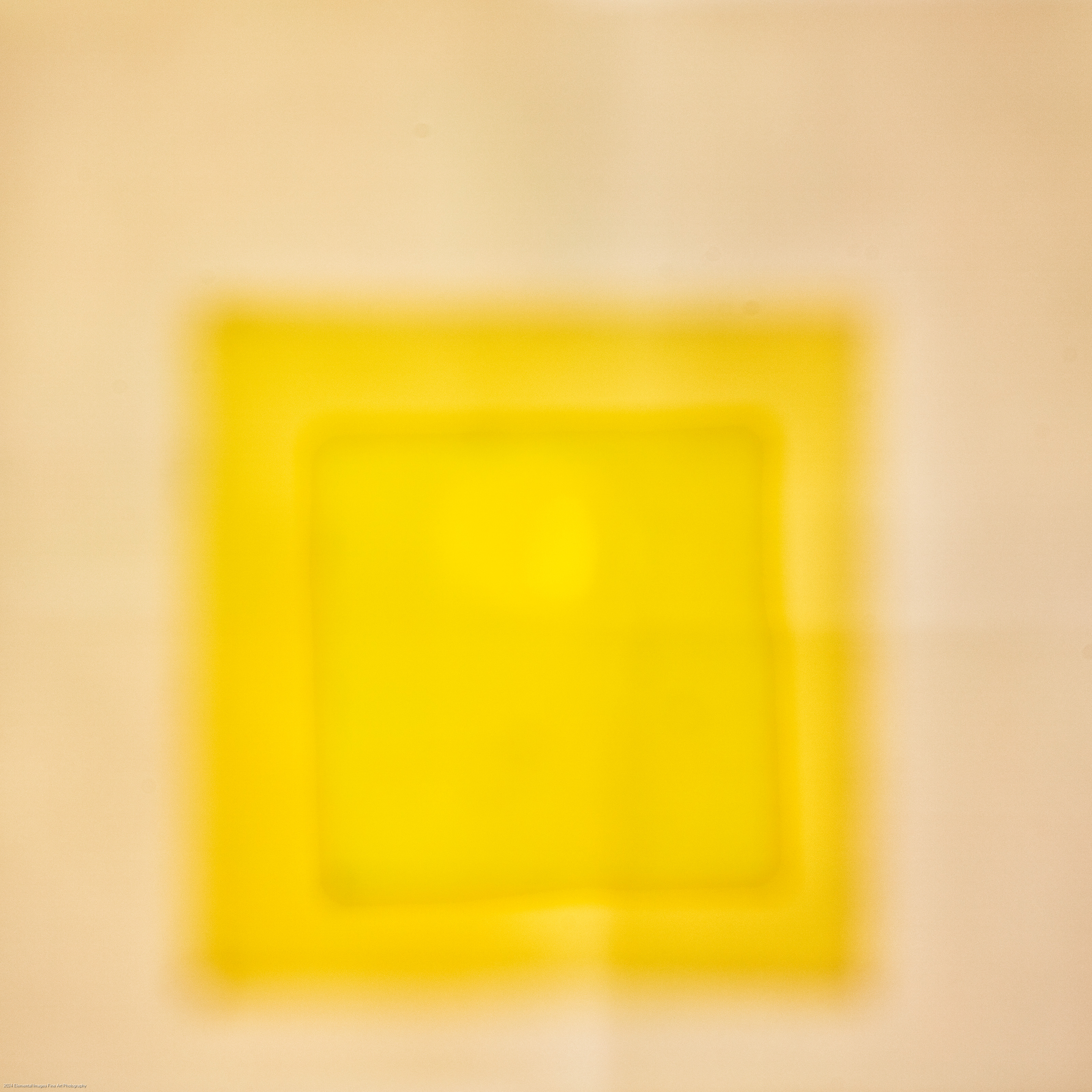 AB2446.jpg