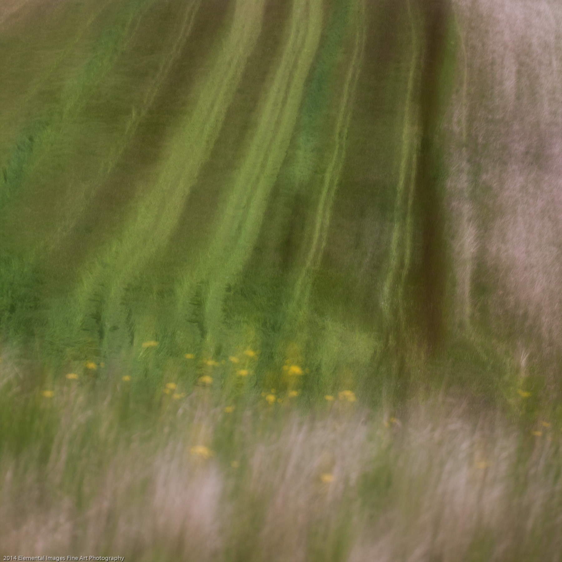 Palouse LXV | The Palouse | WA | USA - © 2014 Elemental Images Fine Art Photography - All Rights Reserved Worldwide
