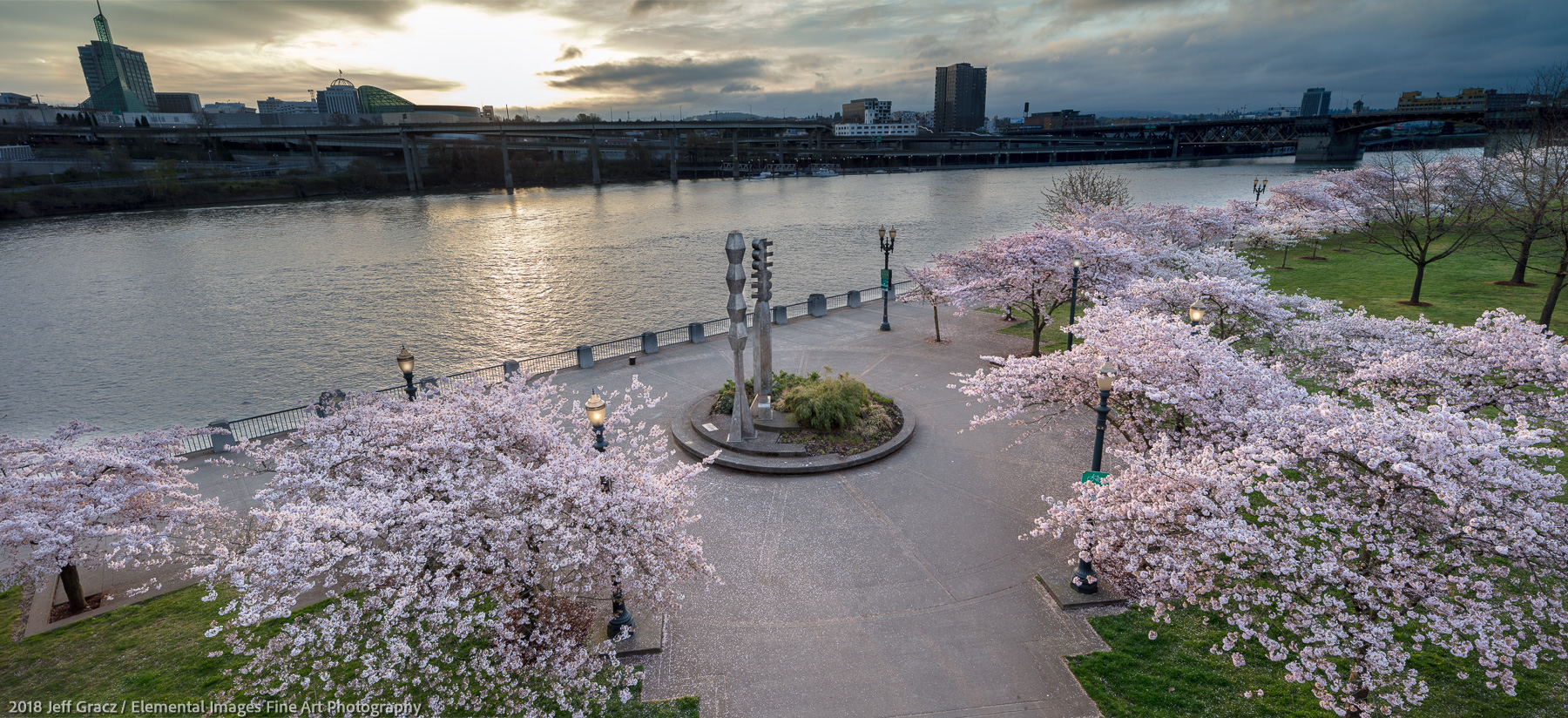 Portland Cherry Blossoms at Sunrise | Portland | OR | USA - © 2018 Jeff Gracz / Elemental Images Fine Art Photography - All Rights Reserved Worldwide
