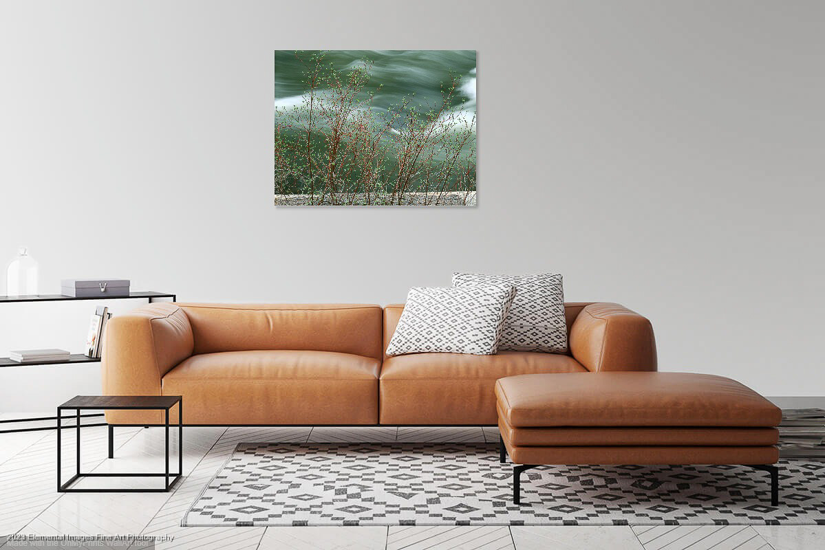 Red Osier Dogwood with Flowing River (MS565) with Sofa |  |  |  - © 2023 Elemental Images Fine Art Photography - All Rights Reserved Worldwide