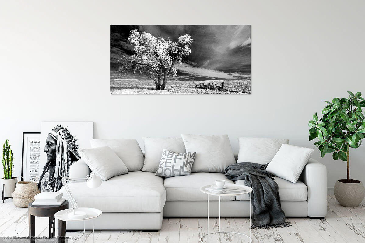 Lone Tree with Farm Machinery (PAN25) with sofa |  |  |  - © 2023 Elemental Images Fine Art Photography - All Rights Reserved Worldwide