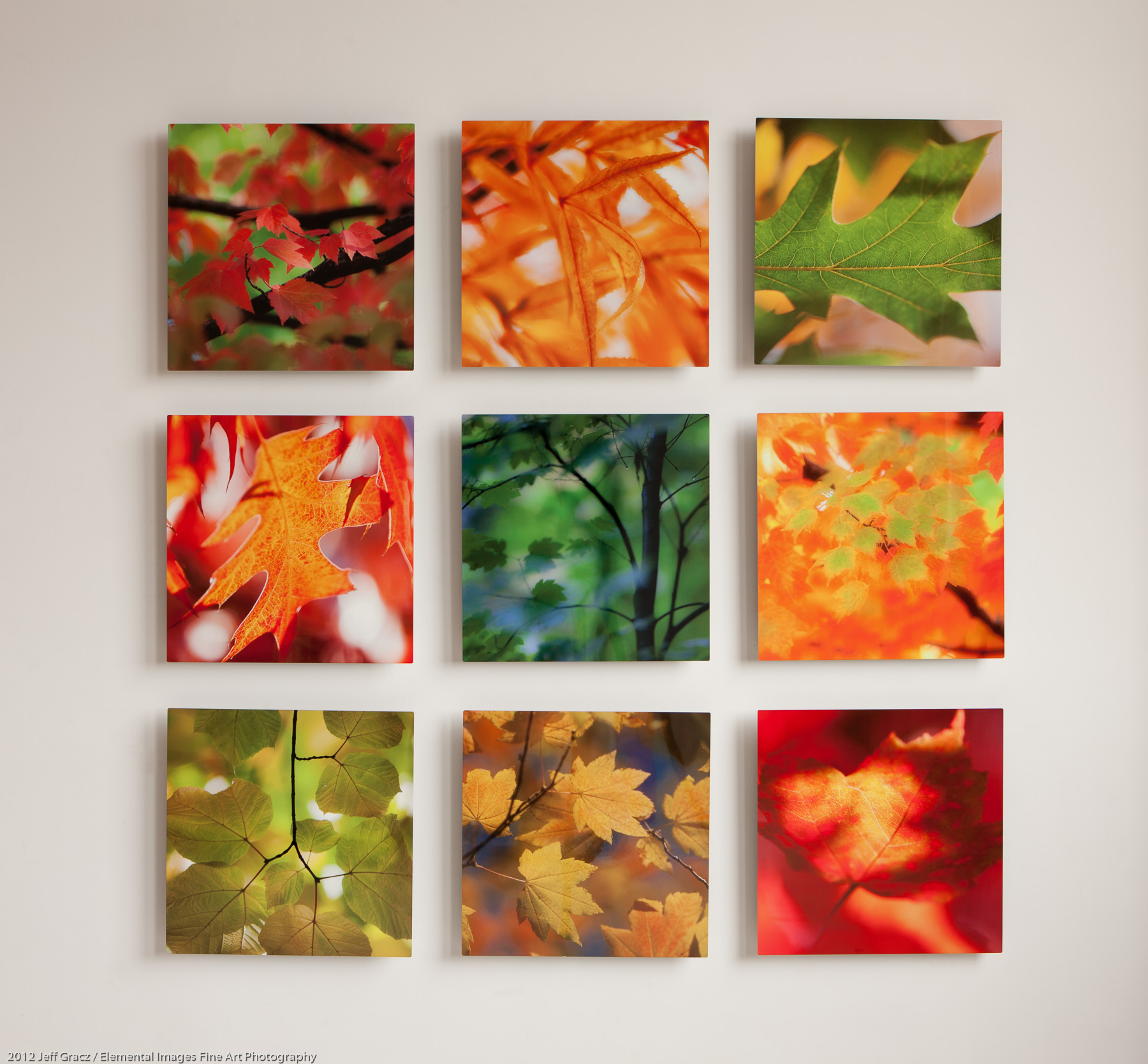 16x16 grouping example | Portland | OR | USA - © 2012 Jeff Gracz / Elemental Images Fine Art Photography - All Rights Reserved Worldwide