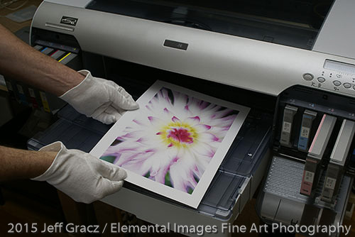 Print coming out of the printer | Vancouver | WA | USA - © 2015 Jeff Gracz / Elemental Images Fine Art Photography - All Rights Reserved Worldwide